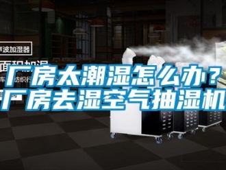 下载香蕉直播视频观看资讯厂房太潮湿怎么办？厂房去湿空气抽湿机