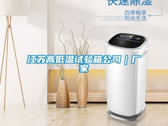 常見問題江蘇高低溫試驗箱公司｜廠家