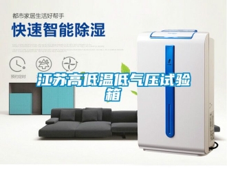 常見問題江蘇高低溫低氣壓試驗箱