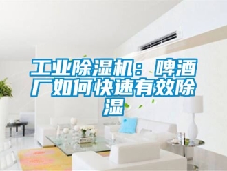 常見問題工業香蕉视频国产APP下载機：啤酒廠如何快速有效香蕉视频国产APP下载