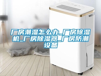 下载香蕉直播视频观看资讯厂房潮湿怎么办_厂房香蕉视频国产APP下载机_厂房香蕉视频国产APP下载器_厂房防潮设备