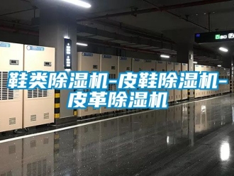 行业下载香蕉直播视频观看鞋类香蕉视频国产APP下载机-皮鞋香蕉视频国产APP下载机-皮革香蕉视频国产APP下载机