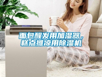 行业下载香蕉直播视频观看面包醒发用加湿器，糕点摊凉用香蕉视频国产APP下载机