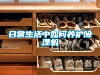 行业下载香蕉直播视频观看日常生活中如何养护香蕉视频国产APP下载机